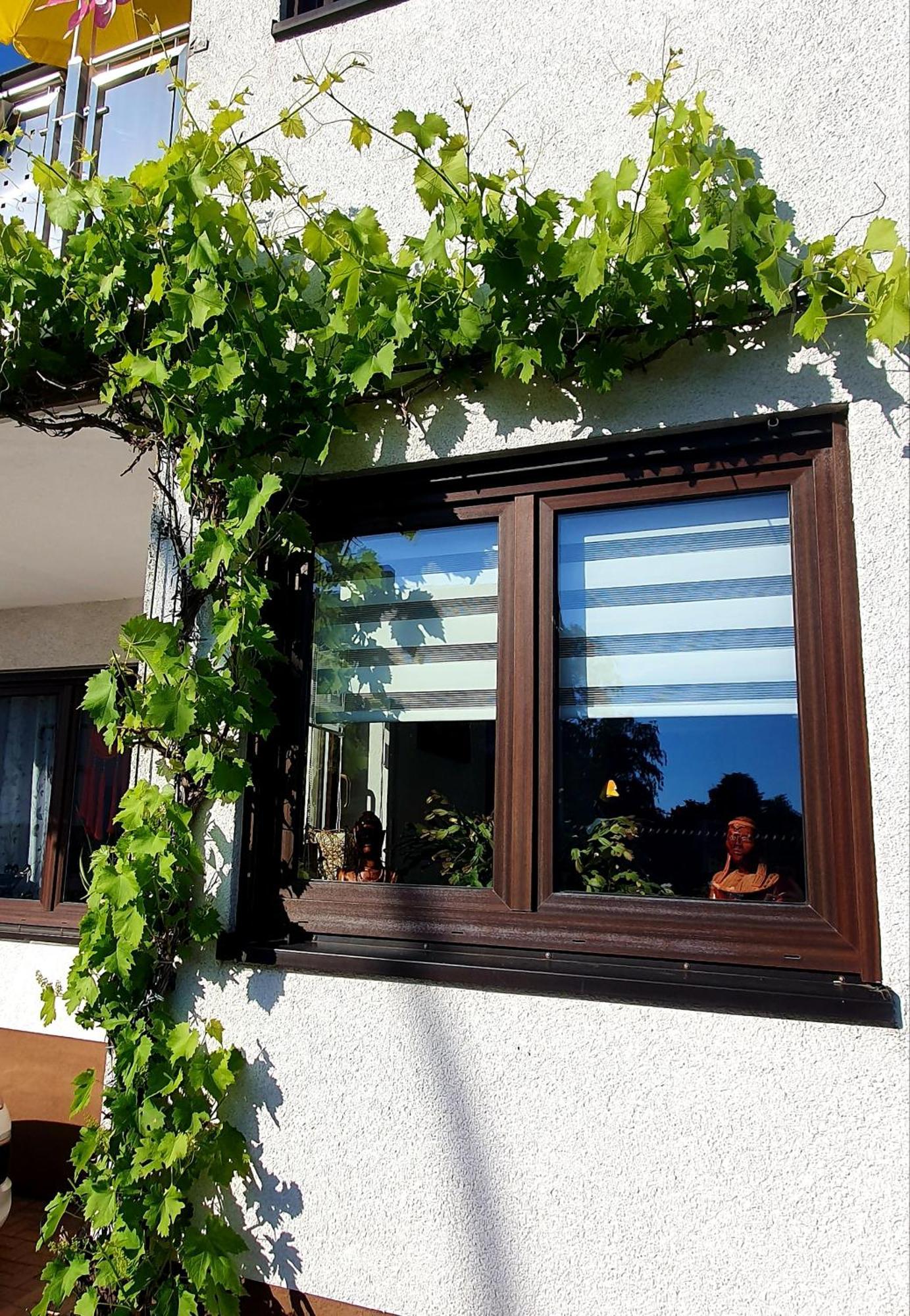 Apartamento Karibu Tiefenthal Habitación foto
